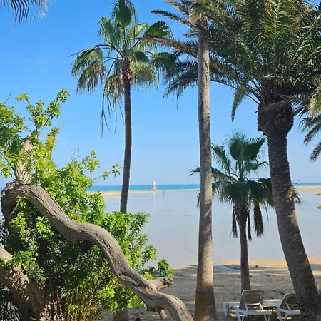 公寓 Sotavento Modern New In Park Natural Adults Only Playa Jandia